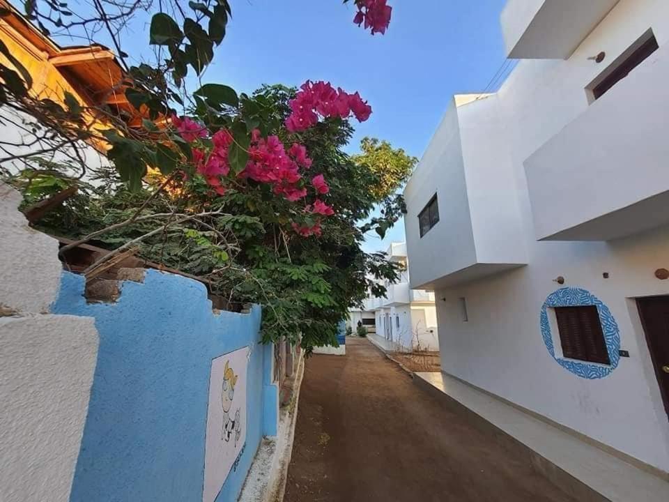 A5Ena House Villa Dahab Ngoại thất bức ảnh